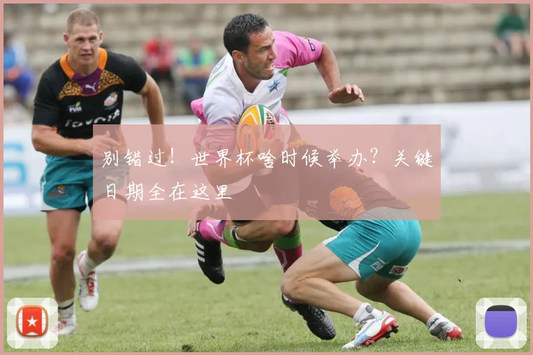 别错过！世界杯啥时候举办？关键日期全在这里