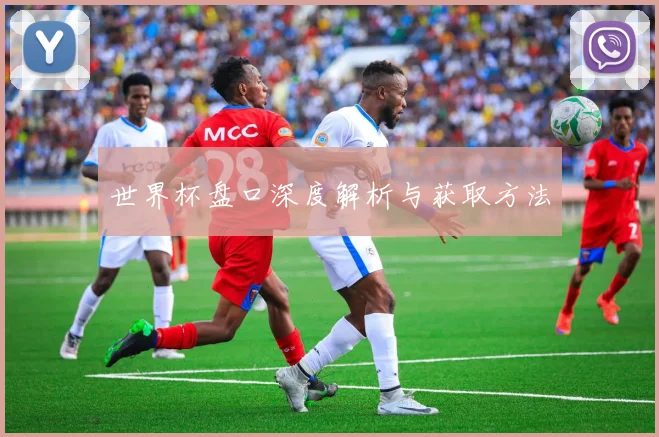 世界杯盘口深度解析与获取方法