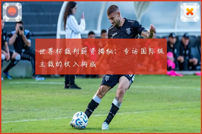 世界杯裁判薪资揭秘:专访国际级主裁的收入构成