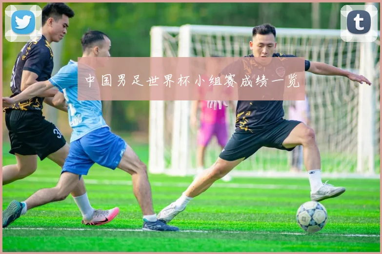 中国男足世界杯小组赛成绩一览