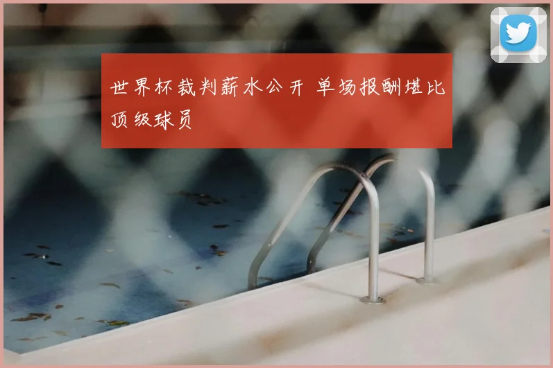 世界杯裁判薪水公开 单场报酬堪比顶级球员
