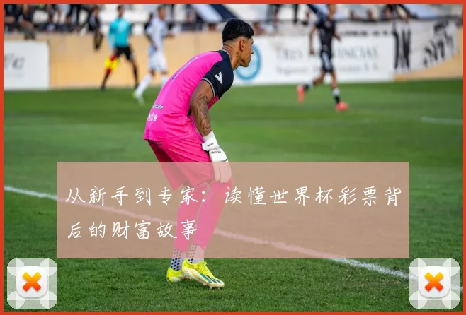 从新手到专家:读懂世界杯彩票背后的财富故事
