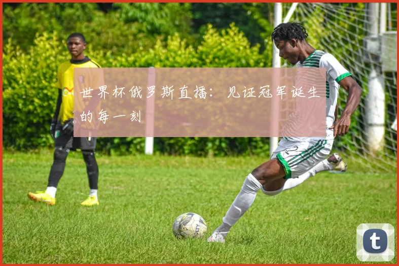 世界杯俄罗斯直播：见证冠军诞生的每一刻