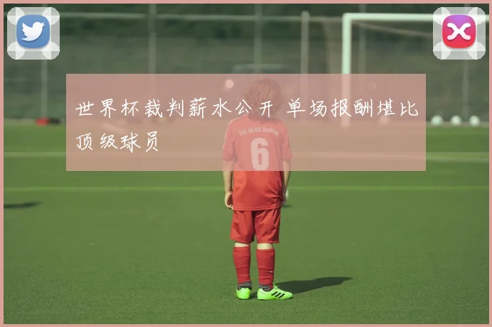 世界杯裁判薪水公开 单场报酬堪比顶级球员
