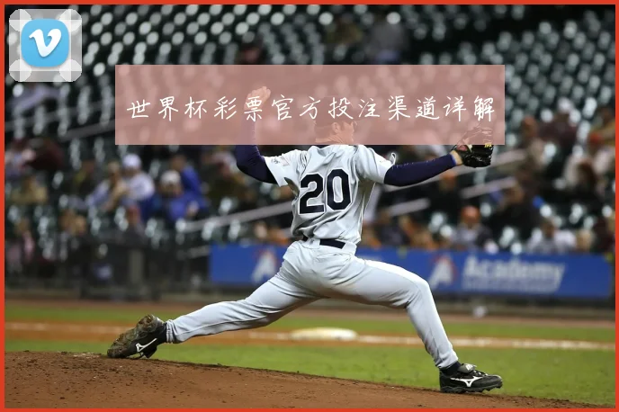 世界杯彩票官方投注渠道详解